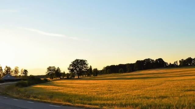 Он думал что нашел ту самую, но еще не знал всей правды... смотреть онлайн