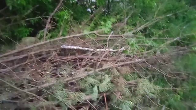 Природа и здоровый образ жизни!!! смотреть онлайн