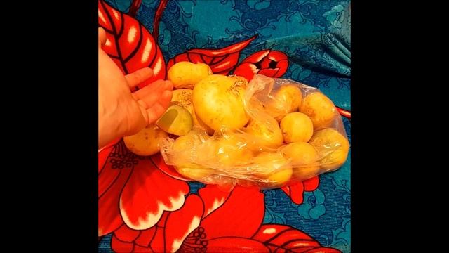 Как убрать горечь из репы, и действительно ли репа горчит? смотреть онлайн