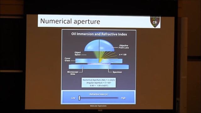 How does a microscope work? смотреть онлайн