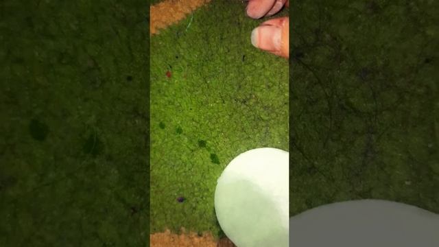 как убрать штрих с линейки???help? смотреть онлайн