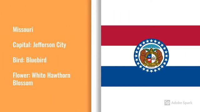 US States - State Capitals - State Bird - State Flower смотреть онлайн