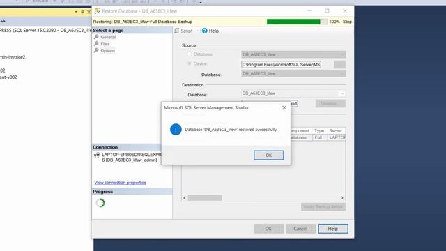 Restore Database from a BAK File in SQL Server 2019 | MSSQL Solved смотреть онлайн