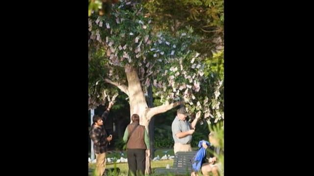 Доллар дарахти / Dollar Daraxti смотреть онлайн