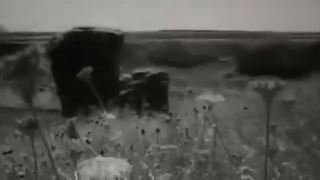 140 летие Гамзата Цадасы г. Кизилюрт смотреть онлайн