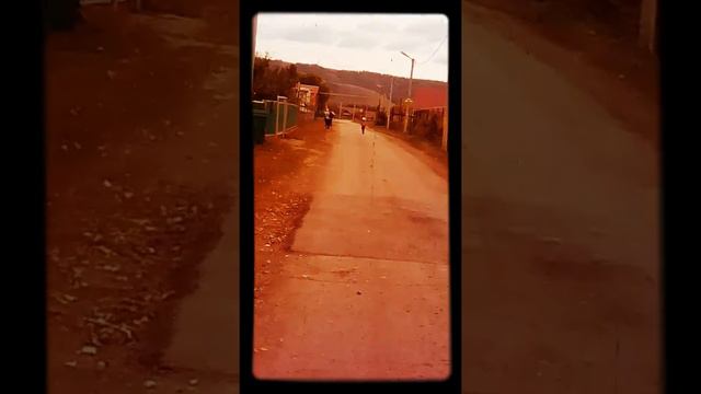 Трус если знаете этих парней то лайк а если нет то подписка смотреть онлайн
