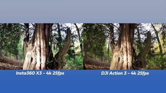 Insta360 X3 vs DJI Action 3: Which camera is right for you? смотреть онлайн