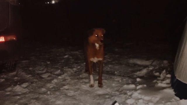 Финальная рыбалка на льду 2022 (Хумми). смотреть онлайн