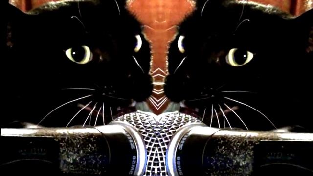 THE KITTY MODE JUST CANT GET ENOUGH Tributo Depeche Mode juasss смотреть онлайн