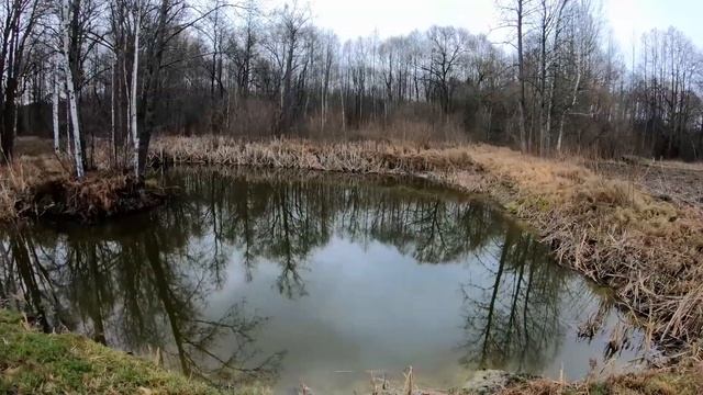 Пруд своими руками - первая рыбалка Татьяны. Наловили карпов. Выращивание рыбы на хуторе смотреть онлайн