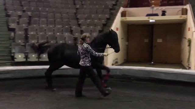 Испанская рысь в руках. Дукат и Ольга Хотим смотреть онлайн