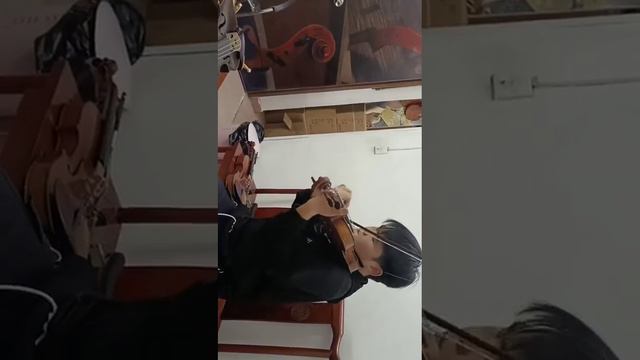 Master Violin Guarneri del Gesu 1742 Lord Wilton Concert Violin Italian Spruce смотреть онлайн