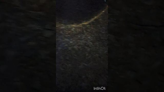 АласТВ.Маштак. Медведь с медвежатами.Атака.Другие события ночёвки. смотреть онлайн