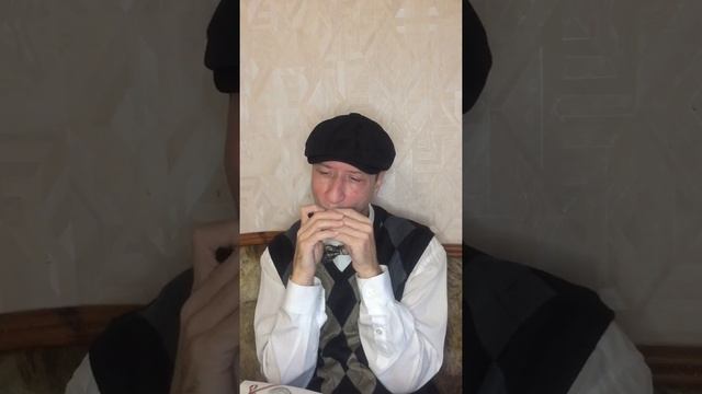 Очаровательные глазки - Русский романс cover #I #music #cover #harmonica #you #and #me смотреть онлайн