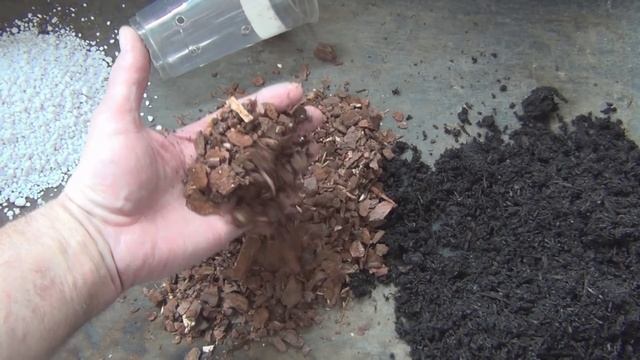 Ponte Tresa Fig Tree Propagation смотреть онлайн