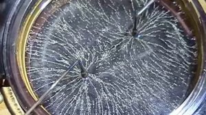 Визуализация силовых линий электрического поля