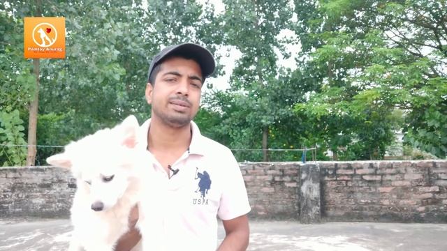 How to stop puppy biting tendency in 1 day ?? смотреть онлайн