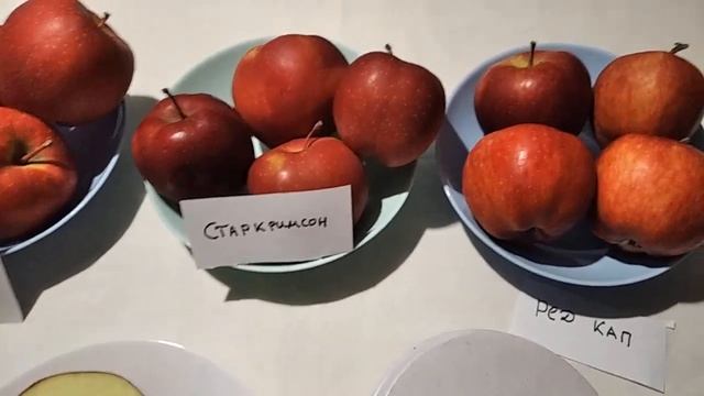 Яблука Ред Кап, Ерлі Ред Ван, Старкримсон. Дегустація. смотреть онлайн