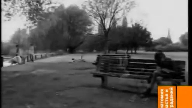 Как мы сами создаём свою судьбу! Анатомия счастья и страданий mp4 Ссылка на исто смотреть онлайн