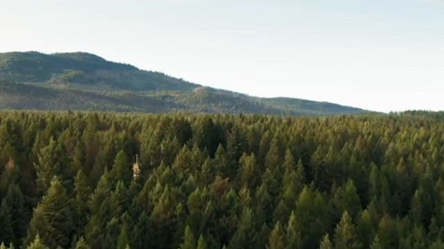 Partita Bach смотреть онлайн