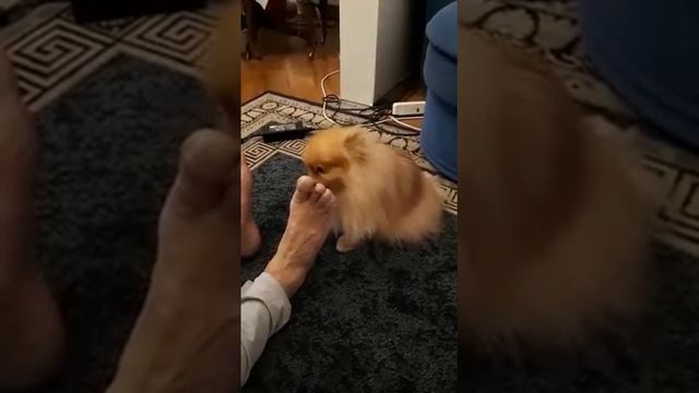 Новый вид массажных услуг