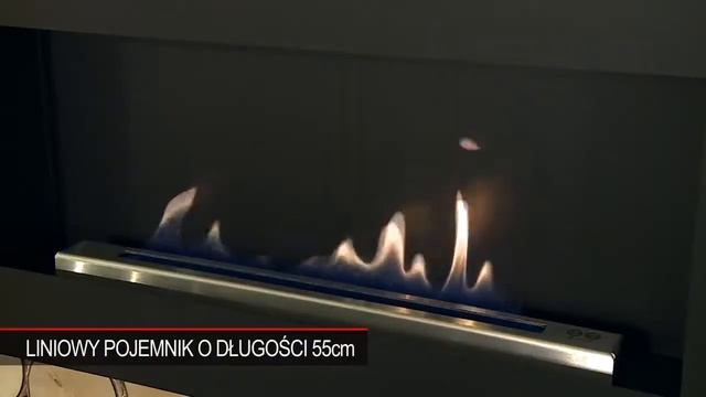 Видео обзор Биокамина Delta FLAT в магазине Биокамин.рф смотреть онлайн