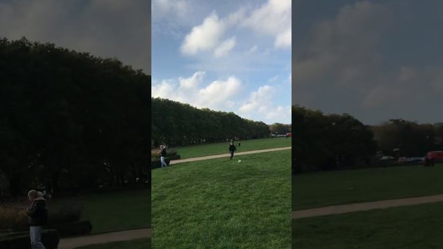 Красивый парк в Щецине. Park Jasne Błonia w Szczecinie. смотреть онлайн