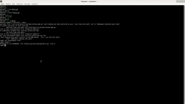 Golang "Hello World!" смотреть онлайн