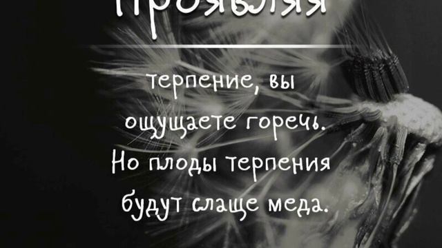 ↗️ Как стать терпеливее. Цитаты о терпении, афоризмы, пословицы о терпении. смотреть онлайн