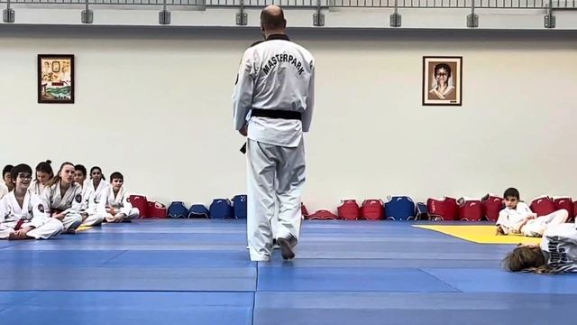 Stage de masse du stade Laurentin Taekwondo masterpark смотреть онлайн