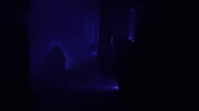 SWSA — The Swamp At Blackwater Bayou 2022 смотреть онлайн