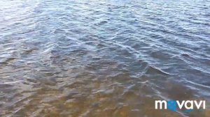 ДОЛ Орлёнок на озере Увильды Челябинской области и озеро Аргази