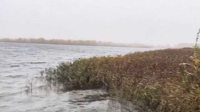 Диким уткам пора улетать в тёплые края. смотреть онлайн