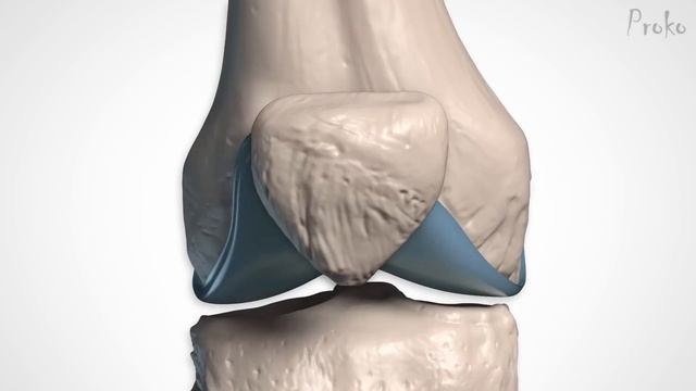 How to Draw Legs - Bone Anatomy for Artists смотреть онлайн