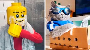 Популярное из Тик Ток (79 часть)