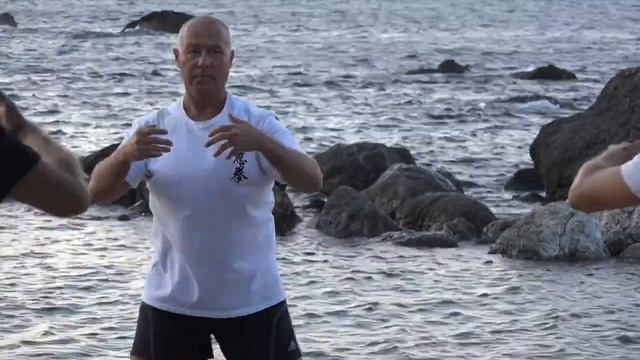 5-я Летняя Школа Ицюань 2014 в Крыму  Часть 6 (4-08-14)