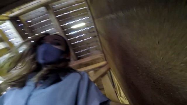 Самая Большая Деревня Наруто в Японии | Аниме в реальности смотреть онлайн