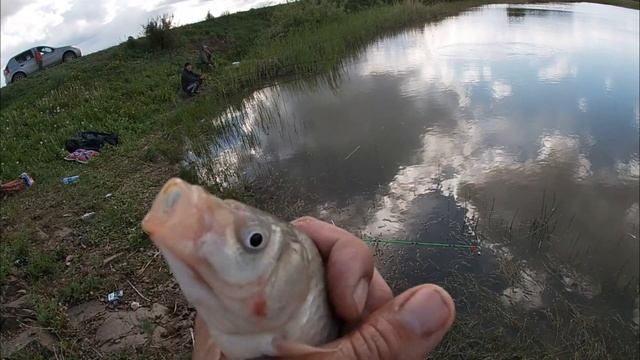 Карась Мутант и как мы поймали ЗОЛОТУЮ РЫБКУ. смотреть онлайн
