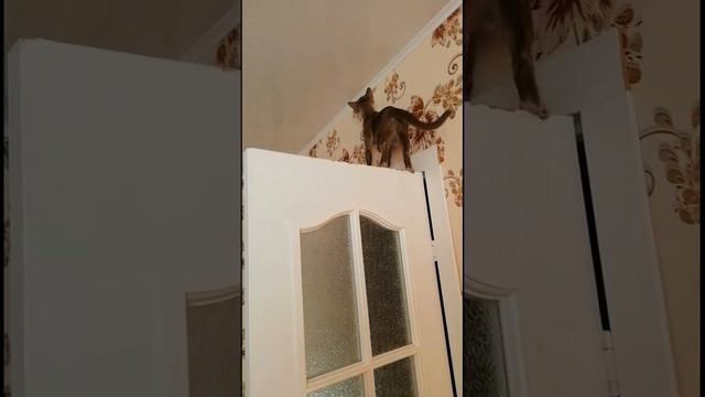 Куда меня несёт... смотреть онлайн