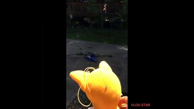Tails Adventures:1 смотреть онлайн