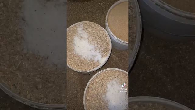 Процесс приготовления и рецепт комбикорма для кур-несушек. смотреть онлайн