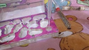 Купили МУРАВЬИНУЮ ферму! Впервые ЗАСЕЛЯЕМ муравьёв в дом // Как ухаживать?