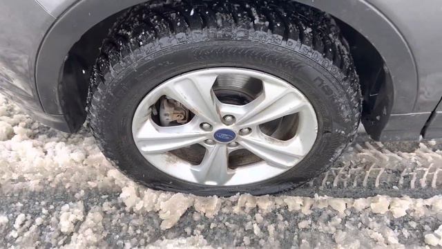 В поисках Шины вместо прогулки по Кремлёвской набережной, что случилось?😅Отдых не удался!