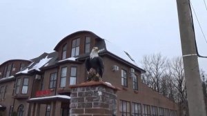 Отдых в Гуамском ущелье , отель Добрыня