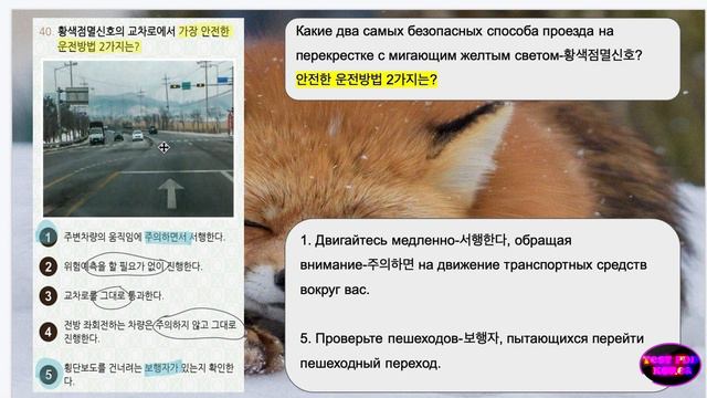 🚗 운전면허 PLUS Фото № 40 и 41 водительские права. смотреть онлайн