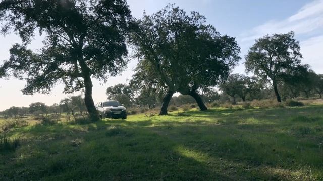 Охота на иберийских голубей. Охота (Охотник и рыболов) смотреть онлайн