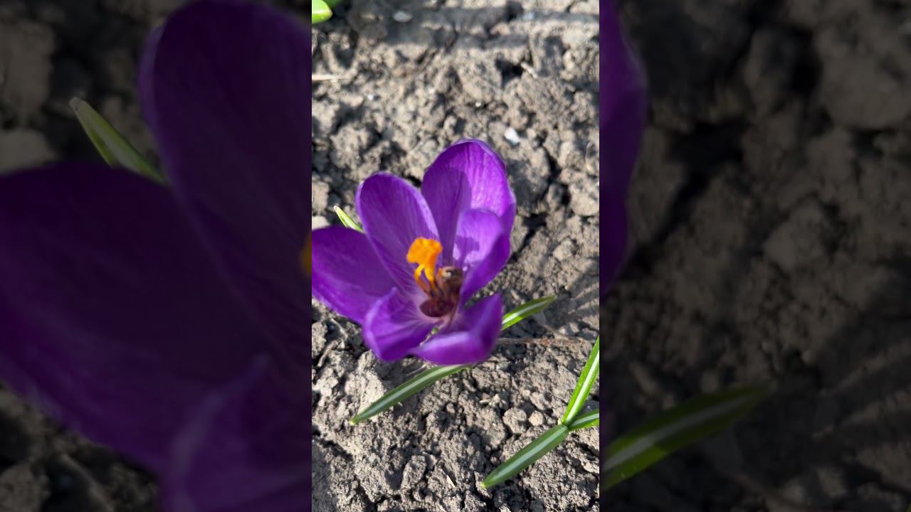 16 марта 2024 г.