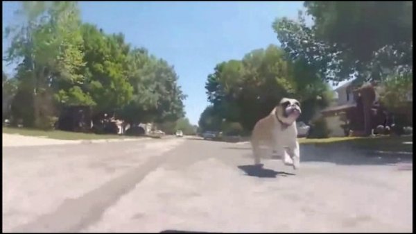 Приколы и неудачи за январь 2016.  часть 1