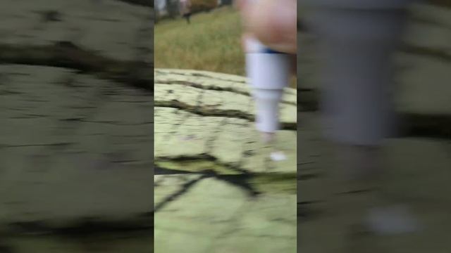 Tagging with a new paint marker Теггинг с новым пеинт маркером смотреть онлайн