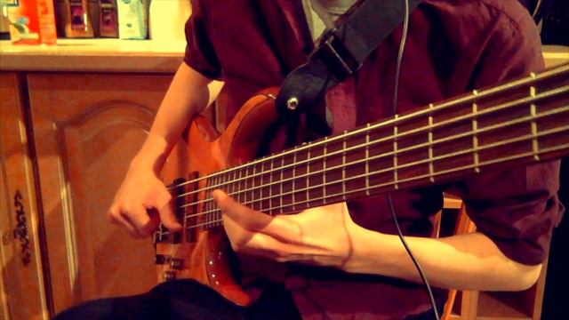Star Spangled Banner (Arranged for Solo Bass) смотреть онлайн